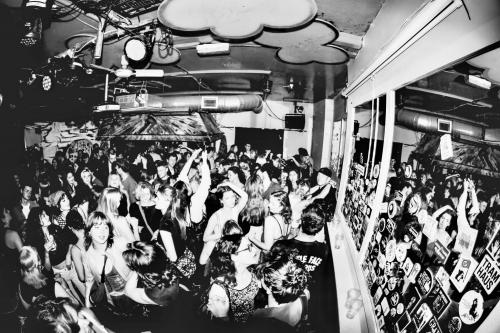 500241413 1178445040960907 8199520845716975916 n